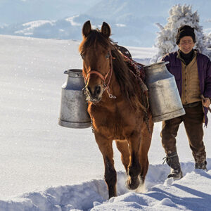 1. Platz - Die Milch macht´s - K. Schmiedl