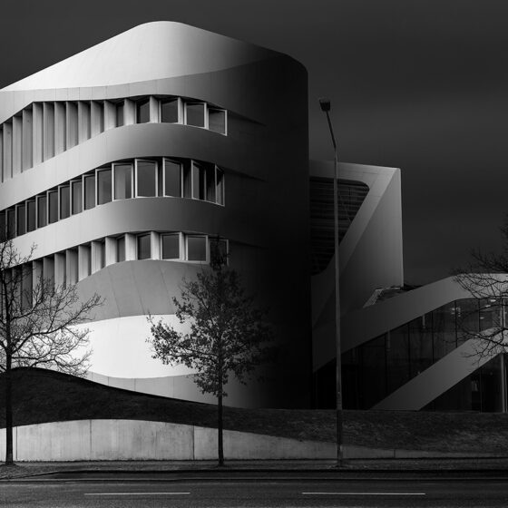 3. Platz - Black + White - K. Schmiedl