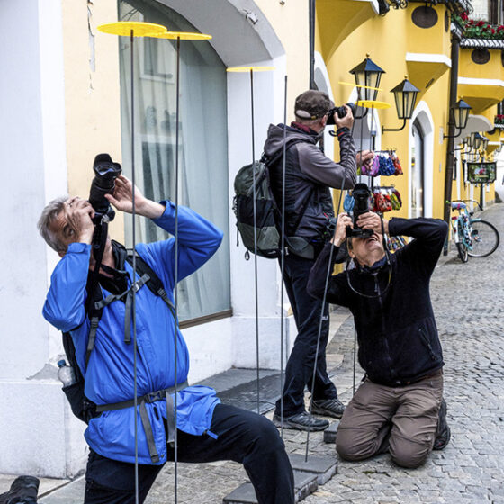 3. Platz - Wo ist das Bild - T.Friedlmeier