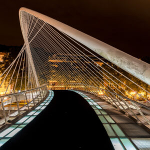 1. Platz - Calatrava-Schwung - G. Friedlmeier