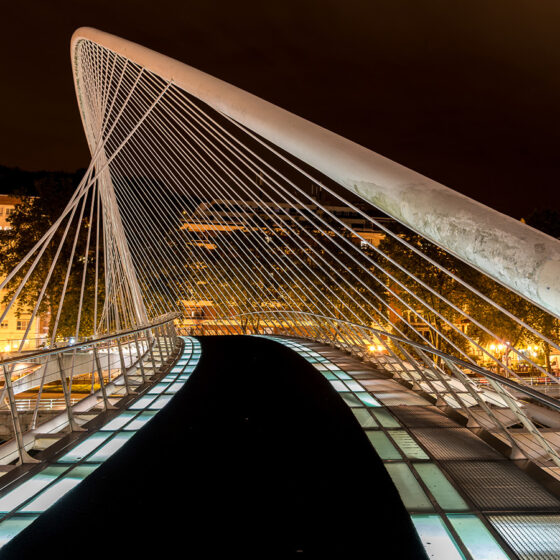 1. Platz - Calatrava-Schwung - G. Friedlmeier